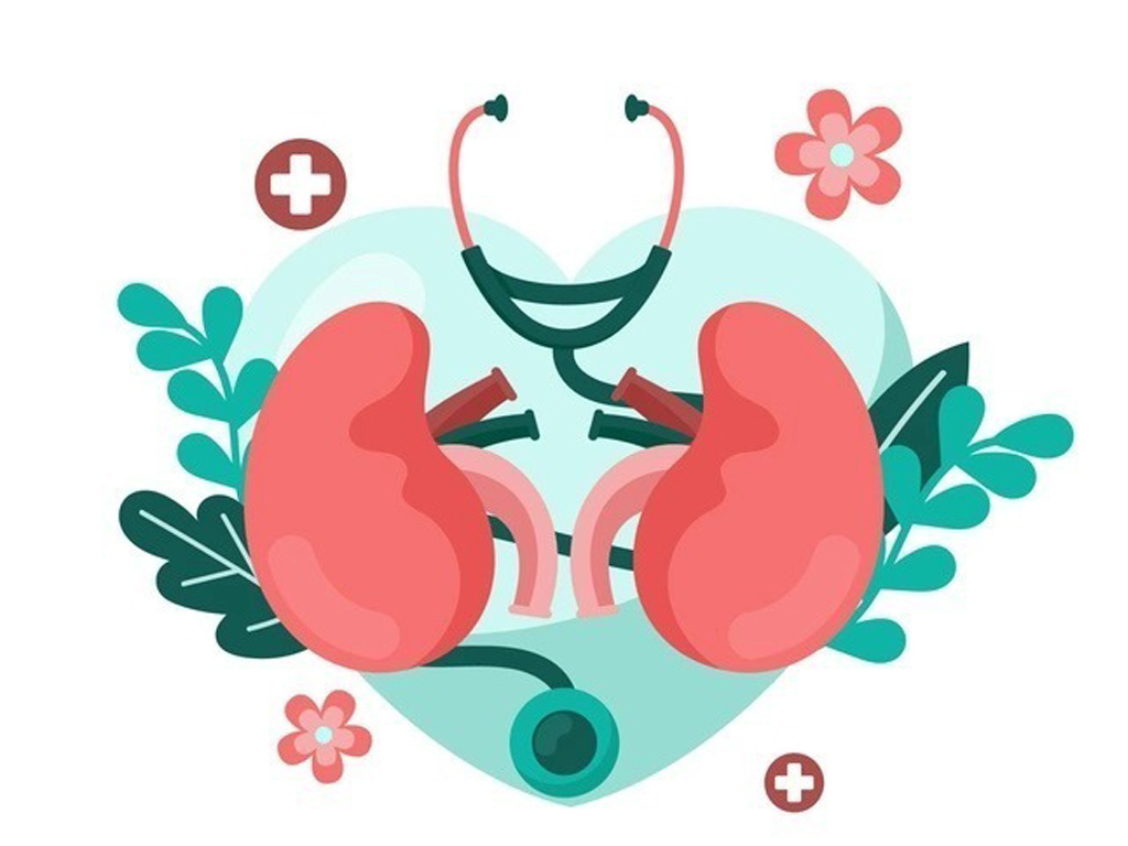 acute-kidney-injury-causes-symptoms-prevention